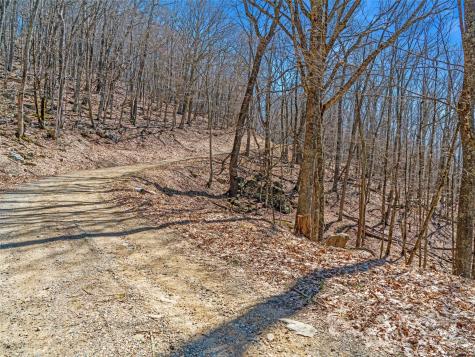 00 Tearshirt Lane Mars Hill NC 28754