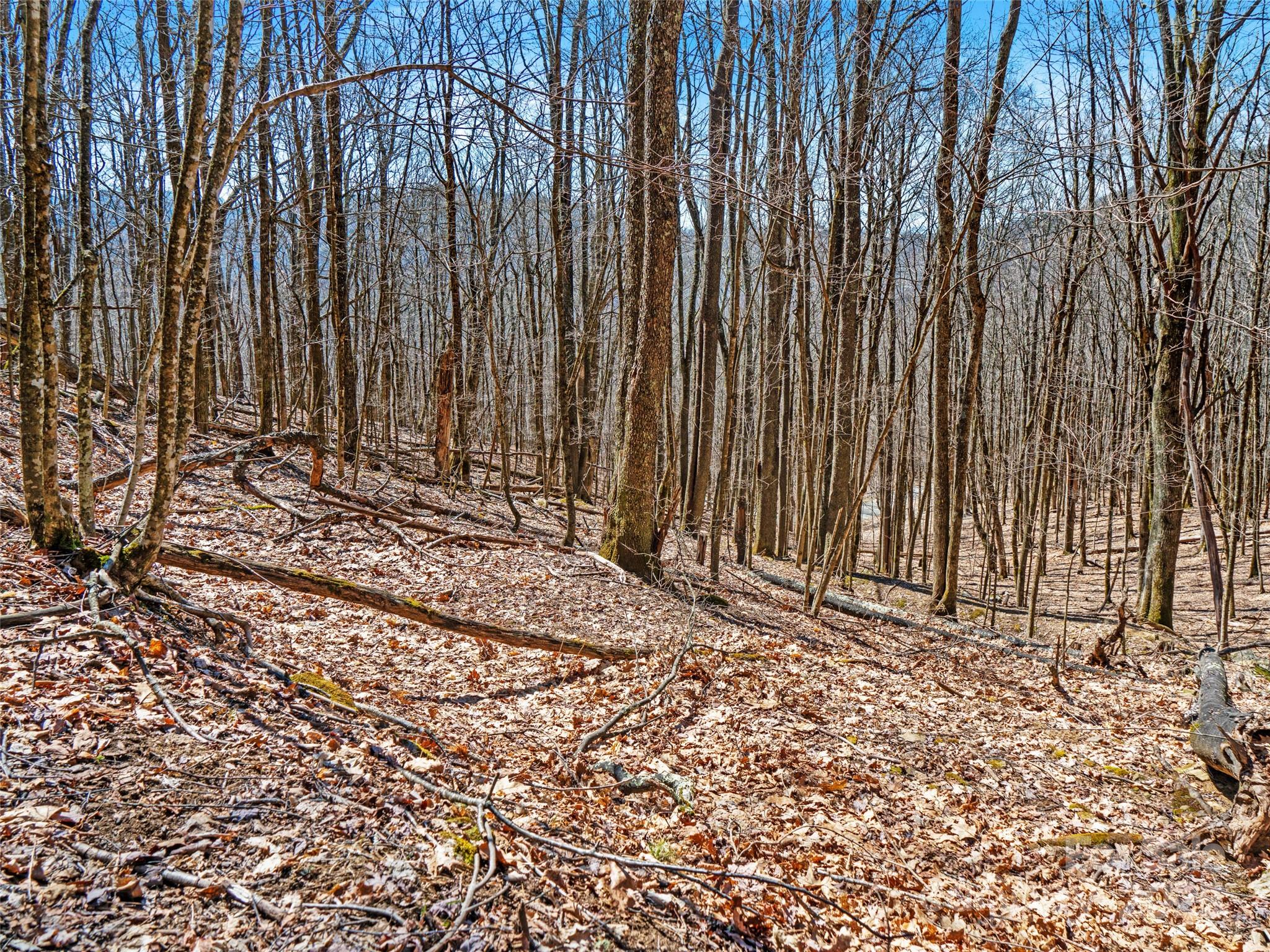 00 Tearshirt Lane Mars Hill NC 28754