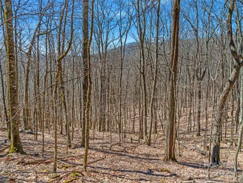 00 Tearshirt Lane Mars Hill NC 28754