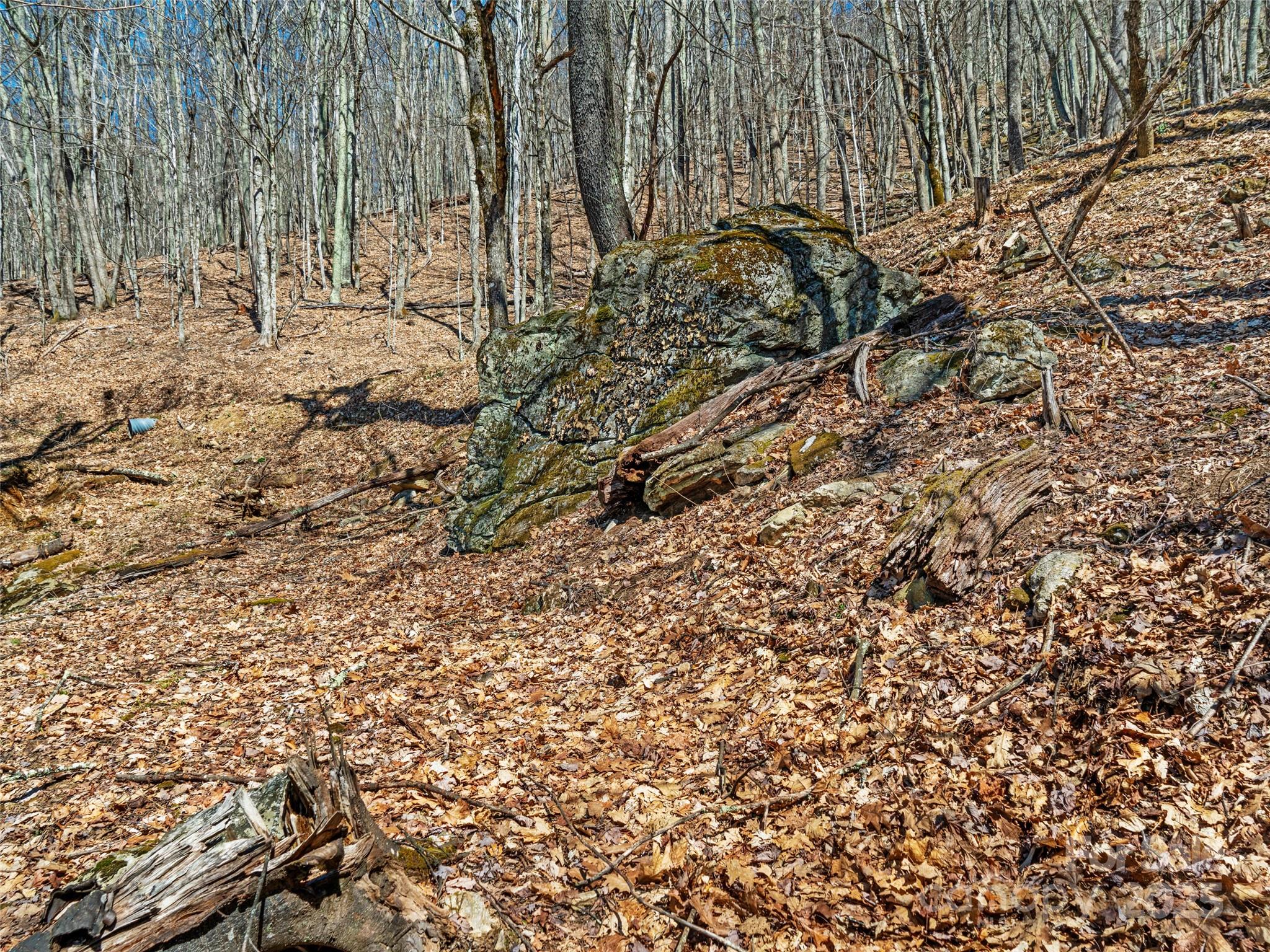 00 Tearshirt Lane Mars Hill NC 28754