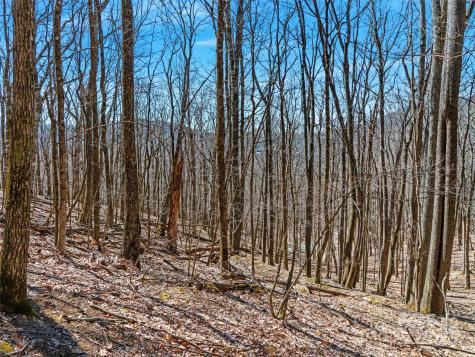00 Tearshirt Lane Mars Hill NC 28754