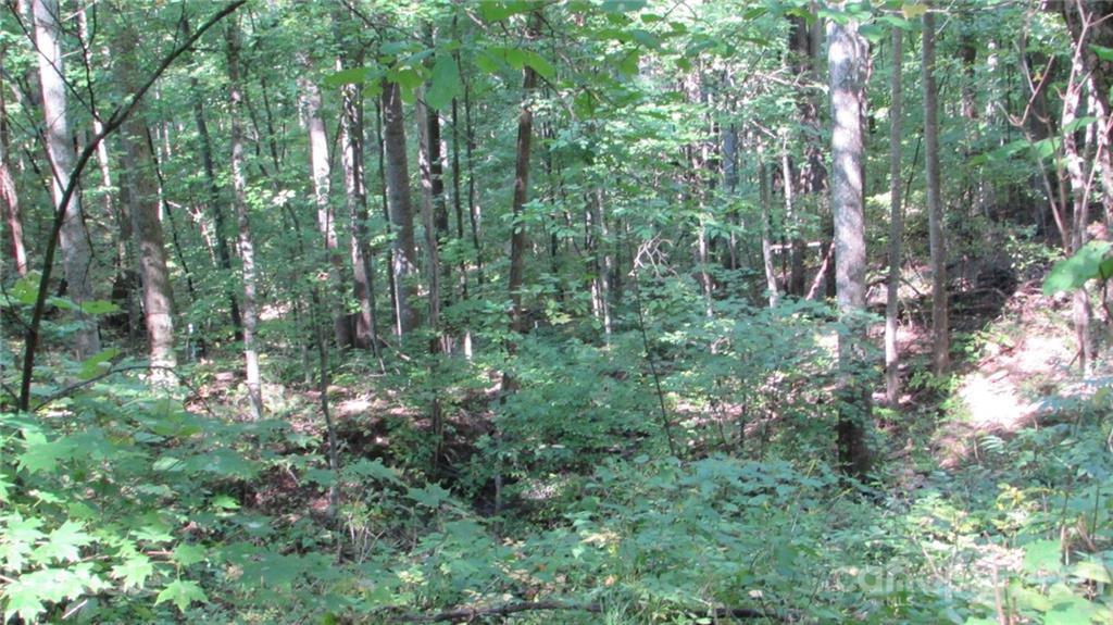E- 17 Red Wolf Run Mars Hill NC 28754