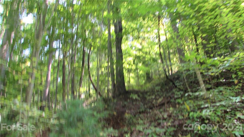 E- 17 Red Wolf Run Mars Hill NC 28754