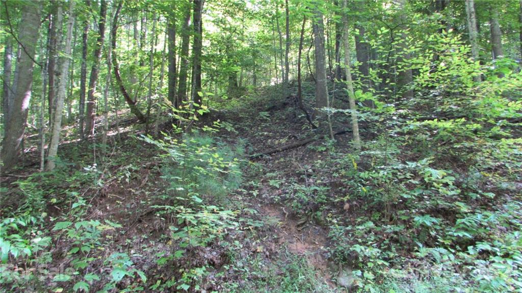 E- 17 Red Wolf Run Mars Hill NC 28754