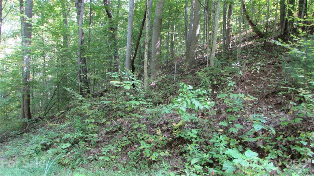 E- 17 Red Wolf Run Mars Hill NC 28754