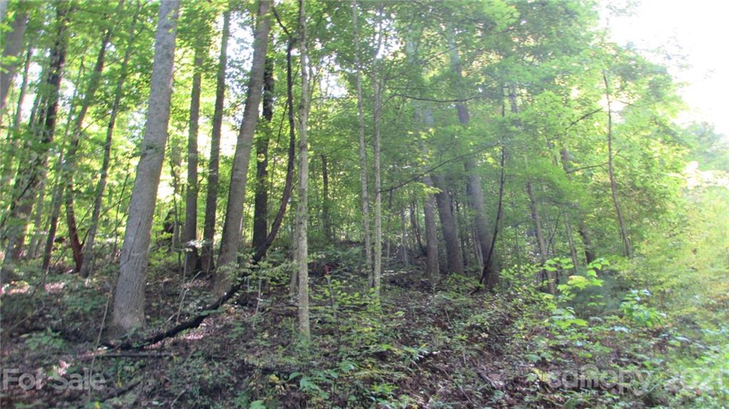 E- 17 Red Wolf Run Mars Hill NC 28754