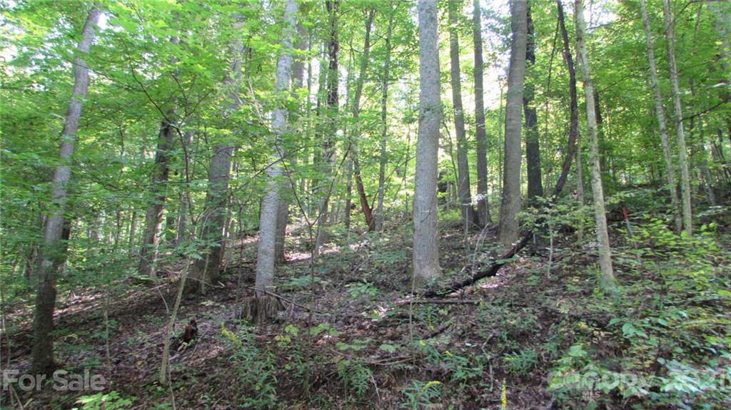 E- 17 Red Wolf Run Mars Hill NC 28754