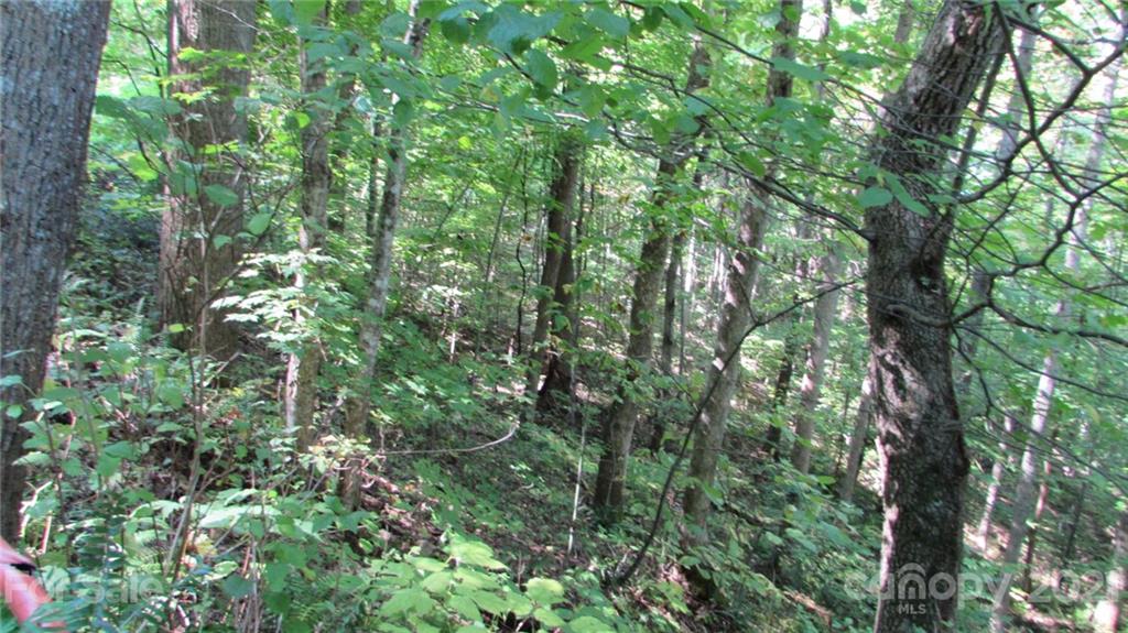 E- 17 Red Wolf Run Mars Hill NC 28754