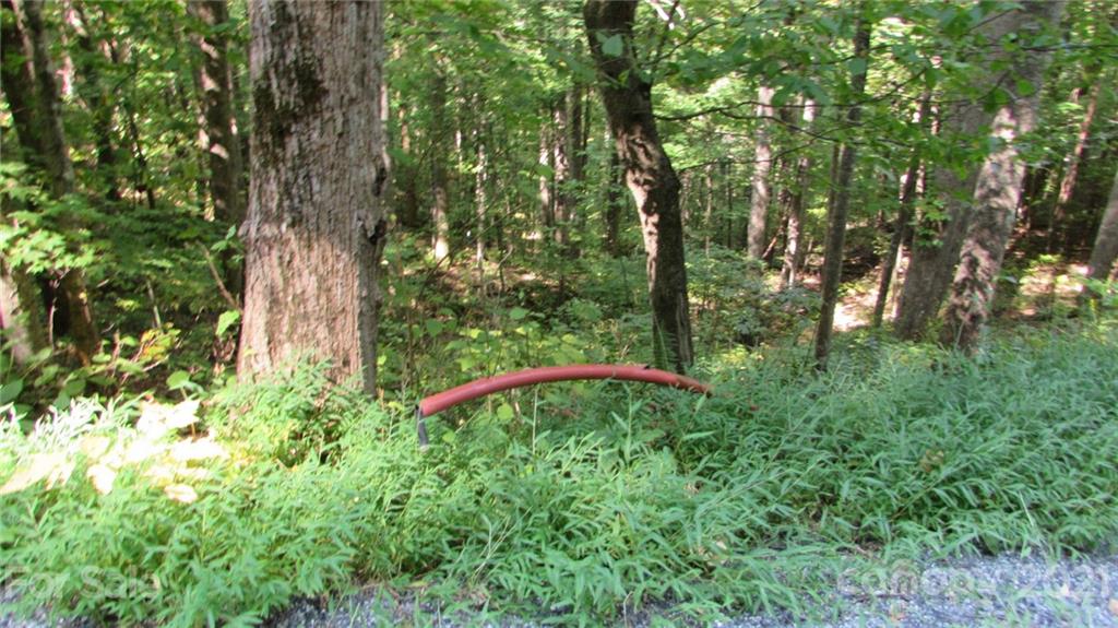 E- 17 Red Wolf Run Mars Hill NC 28754