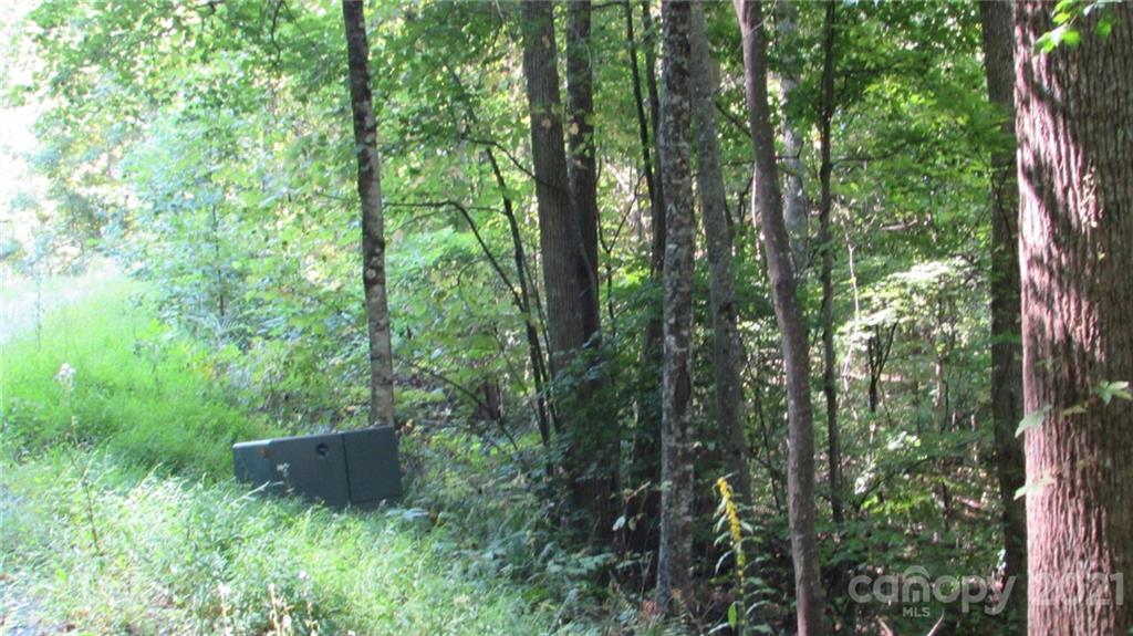 E- 17 Red Wolf Run Mars Hill NC 28754