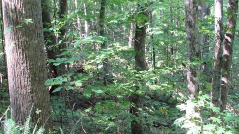 E- 17 Red Wolf Run Mars Hill NC 28754