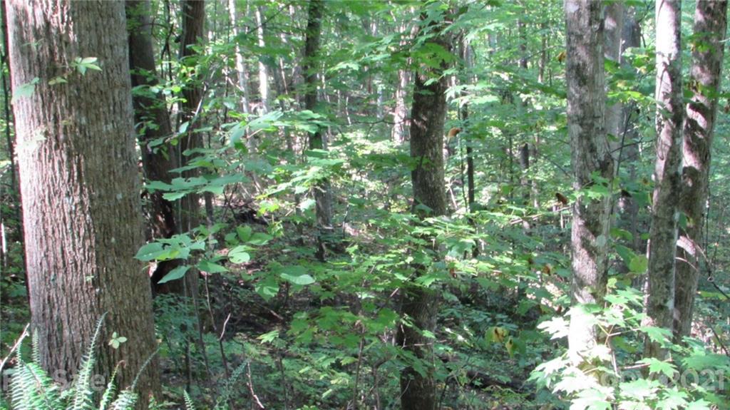 E- 17 Red Wolf Run Mars Hill NC 28754