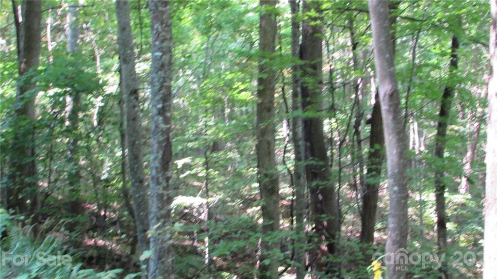 E- 17 Red Wolf Run Mars Hill NC 28754
