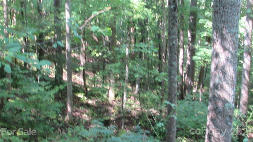 E- 17 Red Wolf Run Mars Hill NC 28754