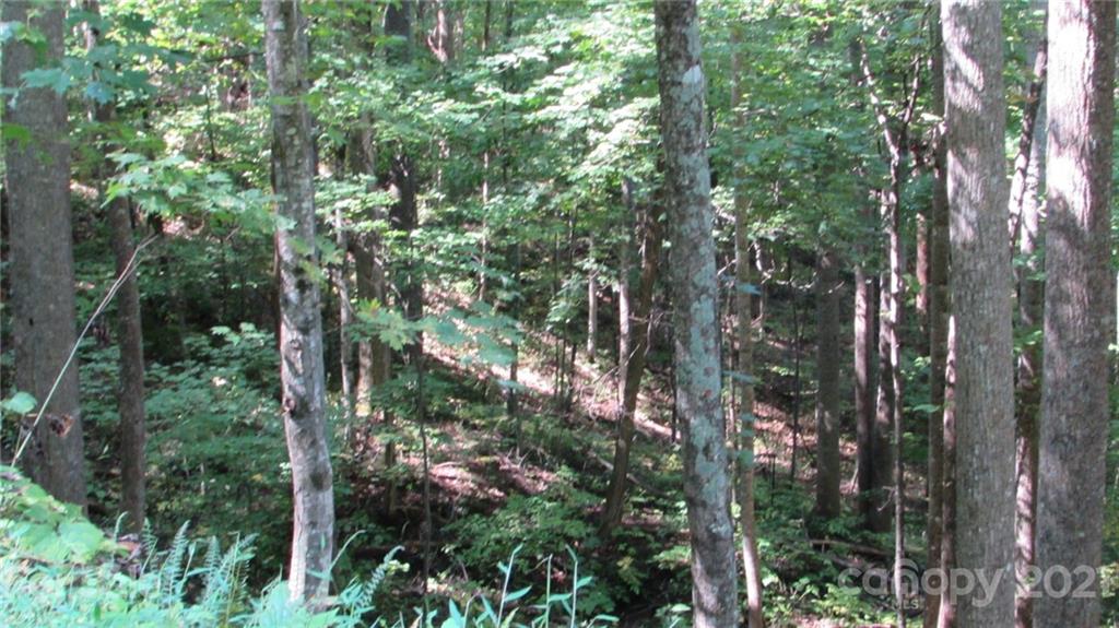 E- 17 Red Wolf Run Mars Hill NC 28754