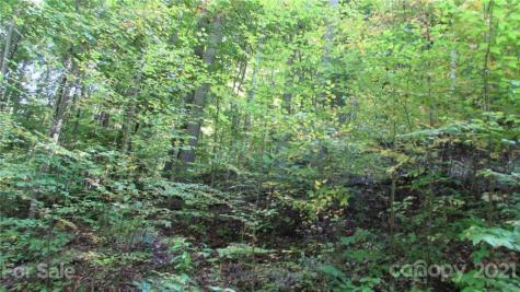 E- 17 Red Wolf Run Mars Hill NC 28754