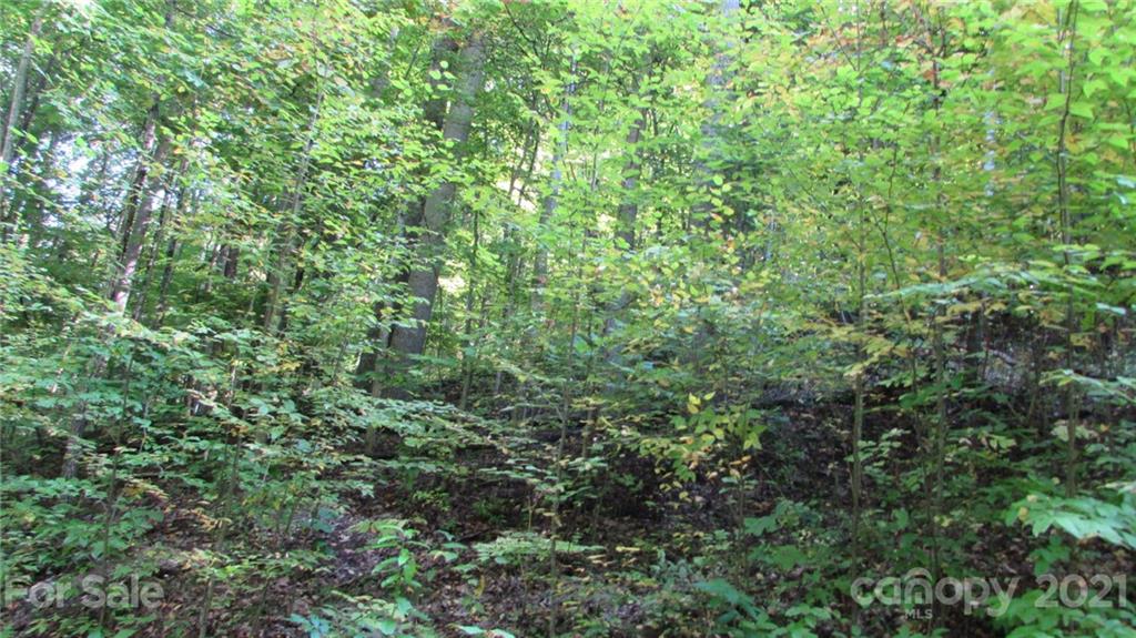 E- 17 Red Wolf Run Mars Hill NC 28754