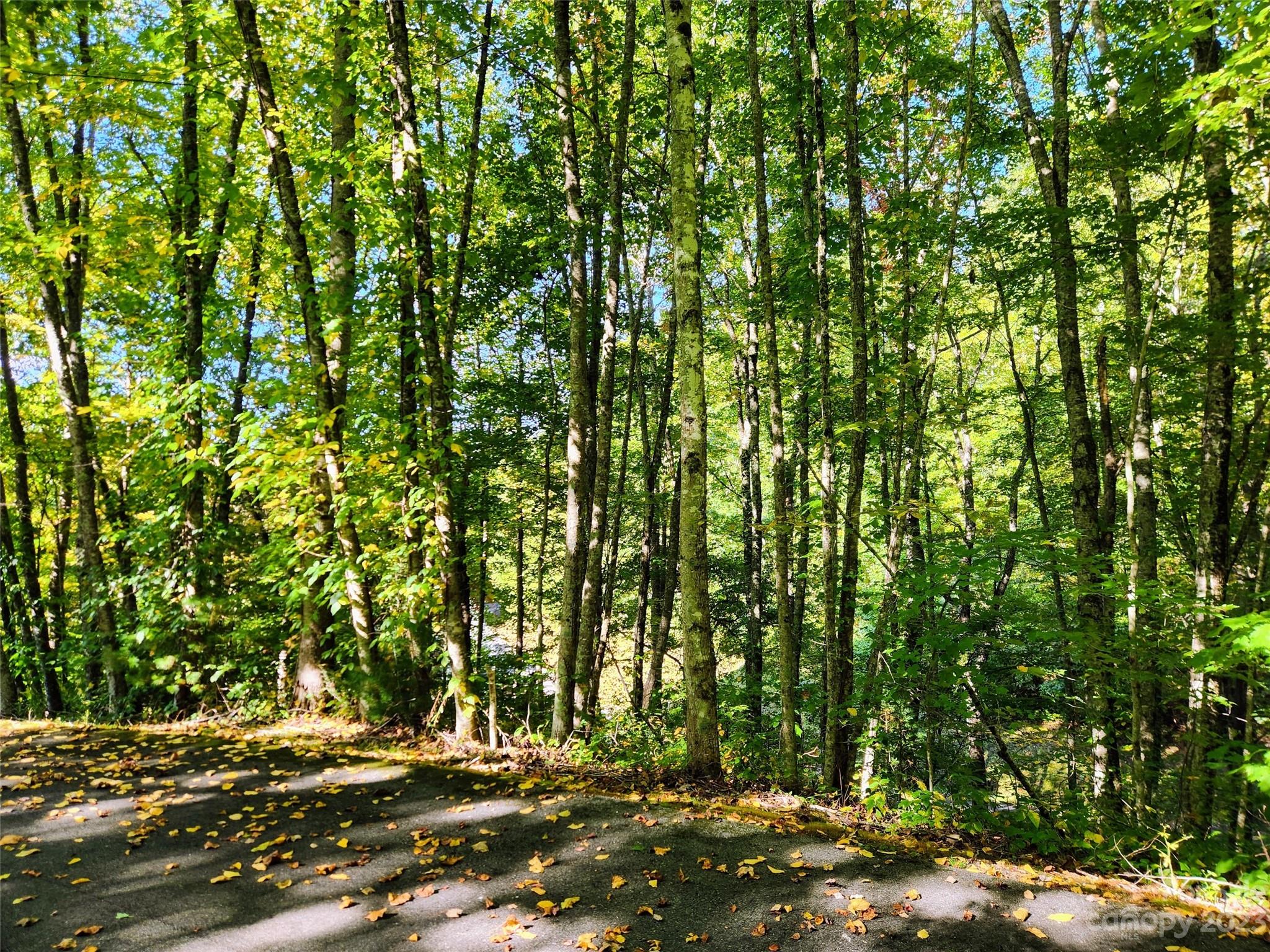 00 Loblolly Way Maggie Valley NC 28751