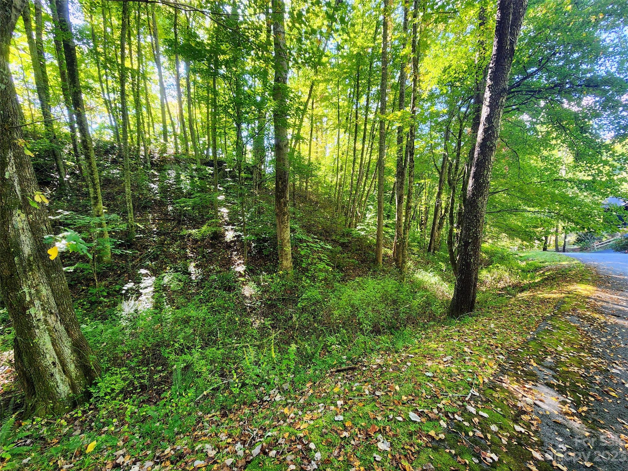 00 Loblolly Way Maggie Valley NC 28751