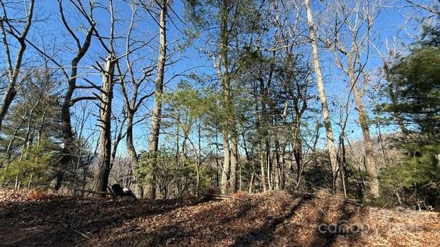 0 Bird Dog Boulevard Lake Lure NC 28746