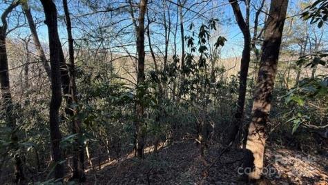 0 Bird Dog Boulevard Lake Lure NC 28746