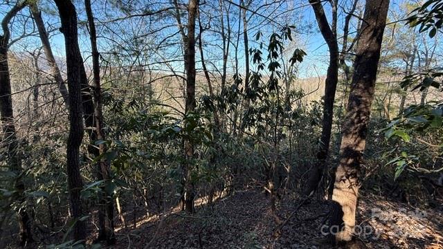 0 Bird Dog Boulevard Lake Lure NC 28746