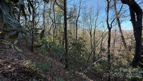 0 Bird Dog Boulevard Lake Lure NC 28746