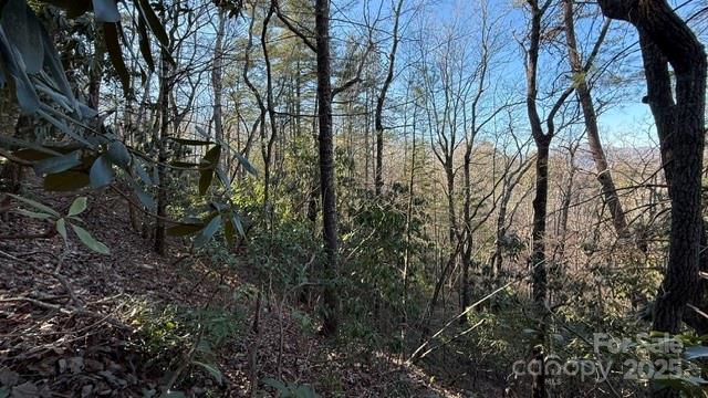 0 Bird Dog Boulevard Lake Lure NC 28746