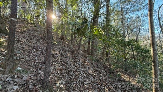 0 Bird Dog Boulevard Lake Lure NC 28746