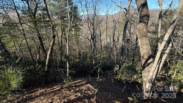 0 Bird Dog Boulevard Lake Lure NC 28746