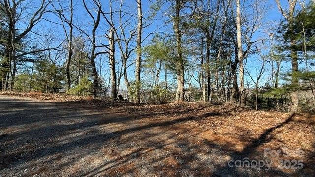 0 Bird Dog Boulevard Lake Lure NC 28746