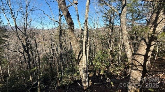 0 Bird Dog Boulevard Lake Lure NC 28746