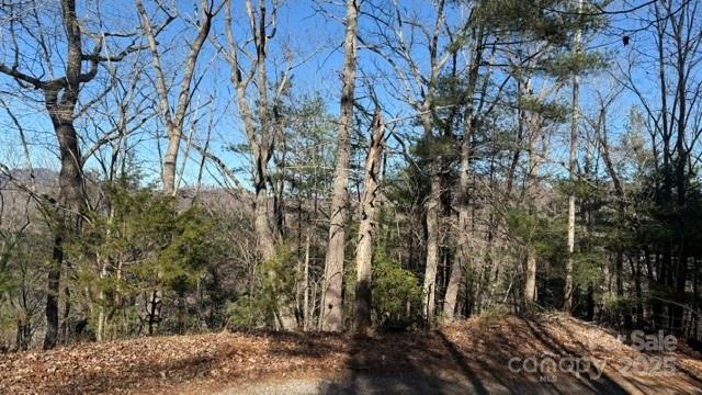 0 Bird Dog Boulevard Lake Lure NC 28746