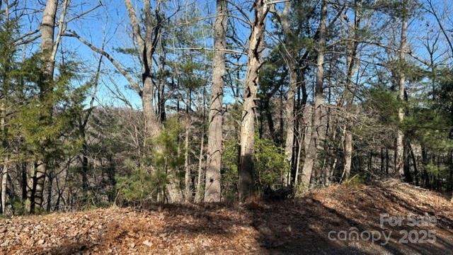 0 Bird Dog Boulevard Lake Lure NC 28746