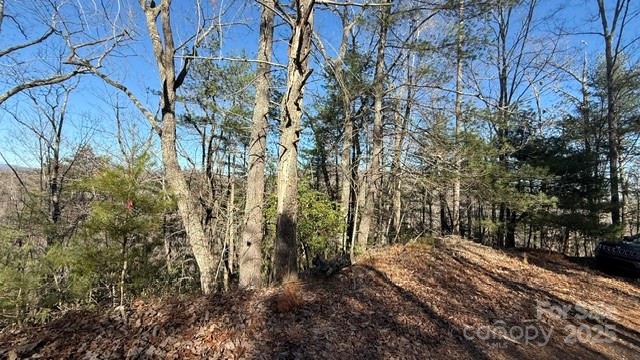 0 Bird Dog Boulevard Lake Lure NC 28746