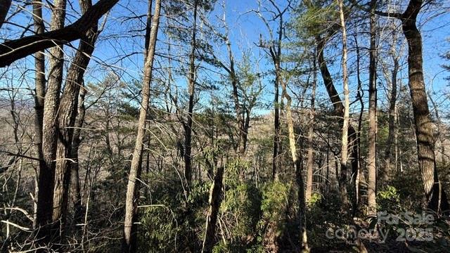 0 Bird Dog Boulevard Lake Lure NC 28746