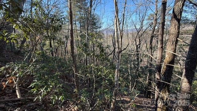 0 Bird Dog Boulevard Lake Lure NC 28746