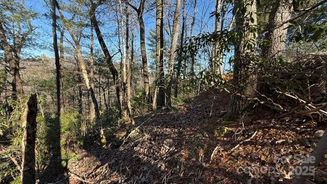0 Bird Dog Boulevard Lake Lure NC 28746