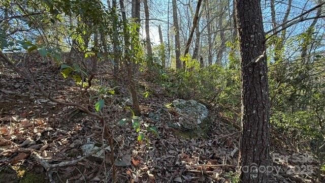 0 Bird Dog Boulevard Lake Lure NC 28746