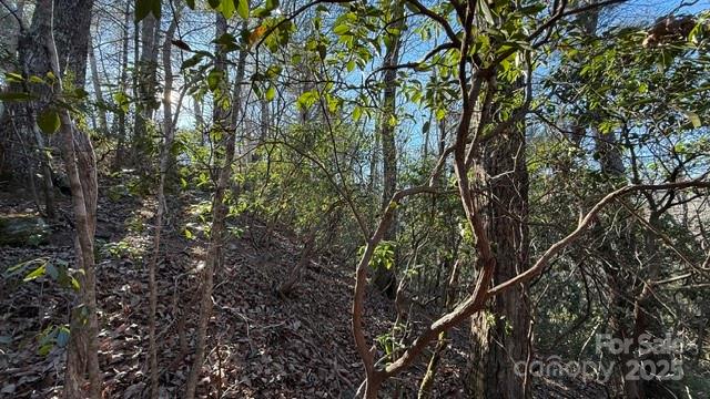 0 Bird Dog Boulevard Lake Lure NC 28746