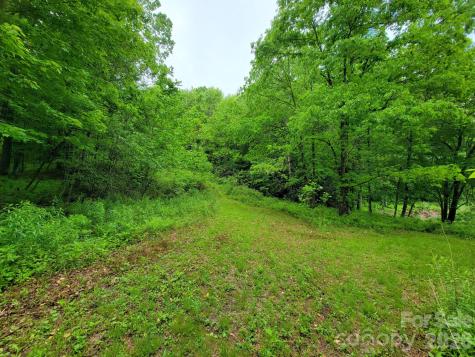 Tbd Sweetwater Ridge Road Balsam Grove NC 28708