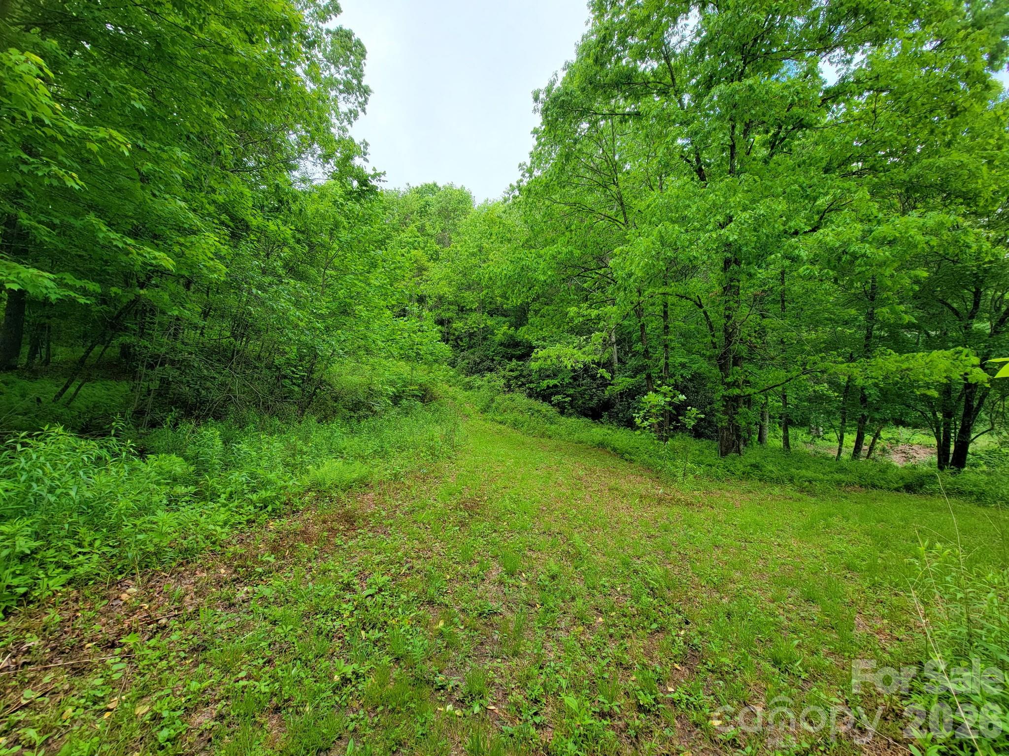 Tbd Sweetwater Ridge Road Balsam Grove NC 28708