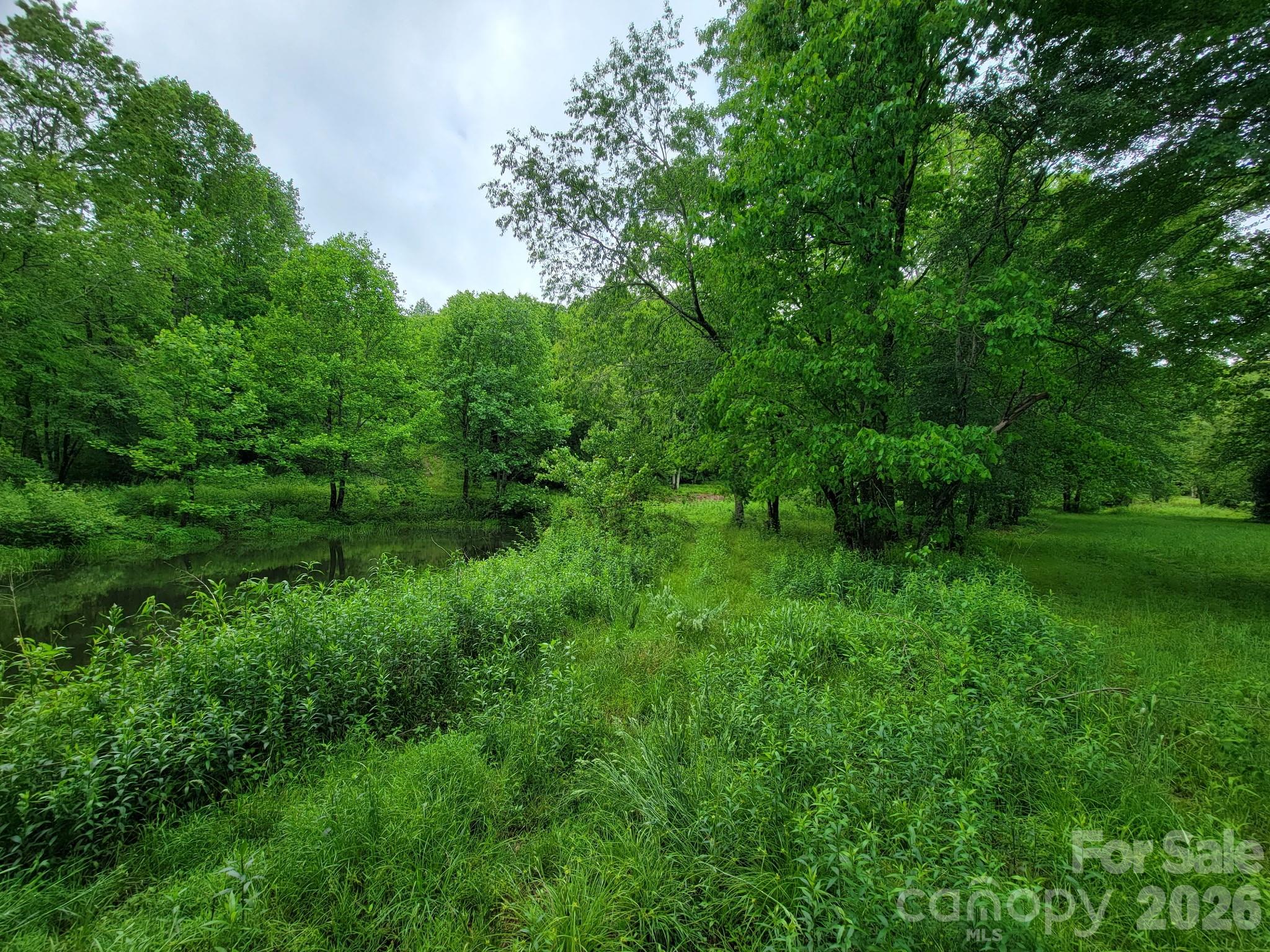 Tbd Sweetwater Ridge Road Balsam Grove NC 28708