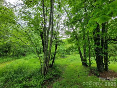 Tbd Sweetwater Ridge Road Balsam Grove NC 28708