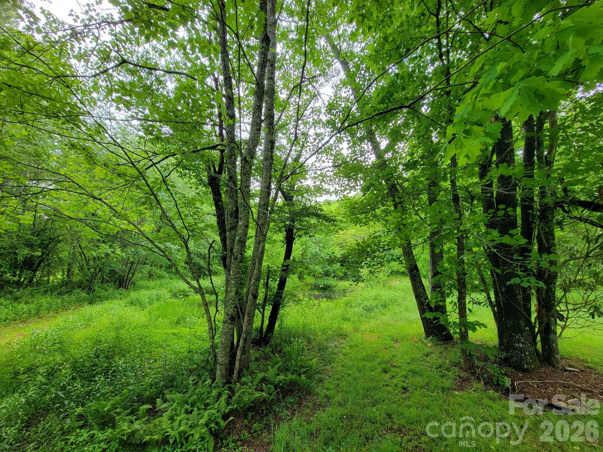 Tbd Sweetwater Ridge Road Balsam Grove NC 28708