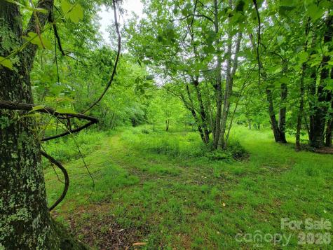Tbd Sweetwater Ridge Road Balsam Grove NC 28708