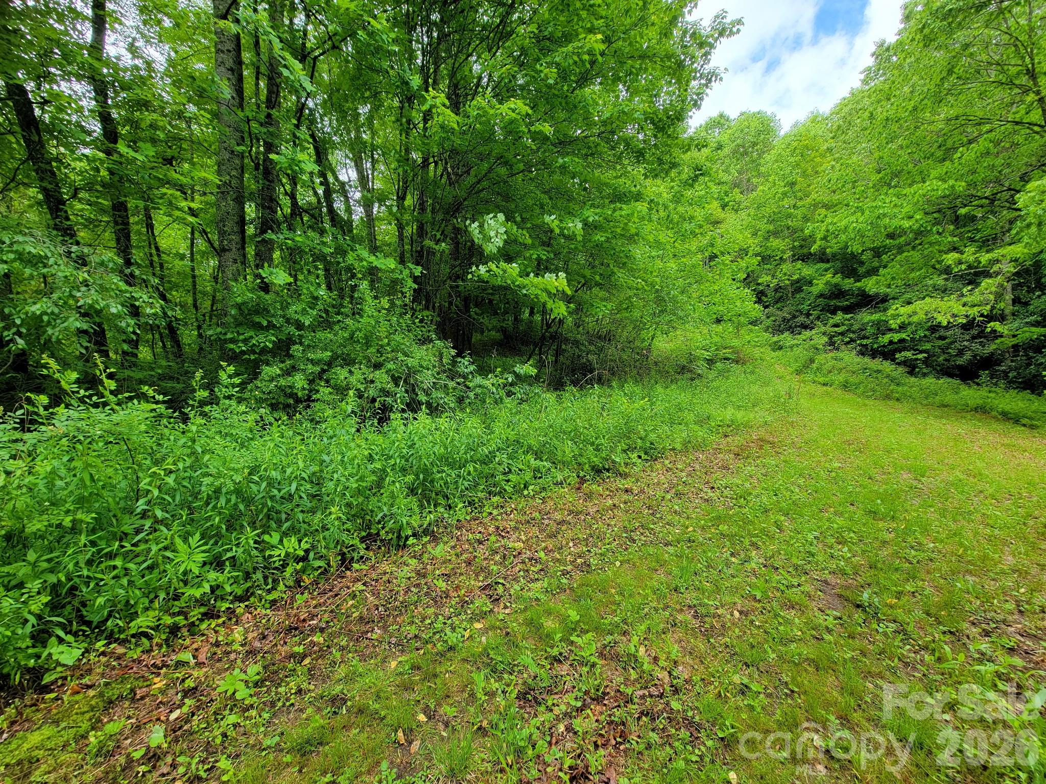 Tbd Sweetwater Ridge Road Balsam Grove NC 28708