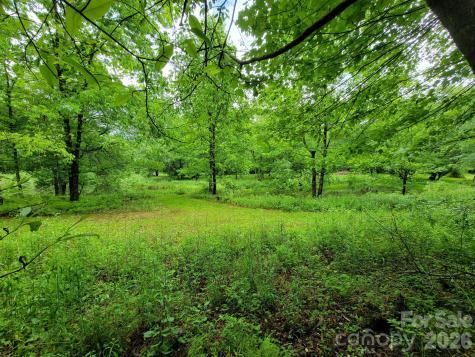 Tbd Sweetwater Ridge Road Balsam Grove NC 28708