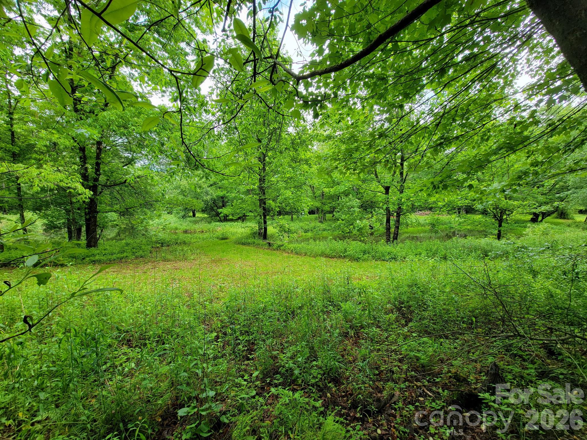 Tbd Sweetwater Ridge Road Balsam Grove NC 28708