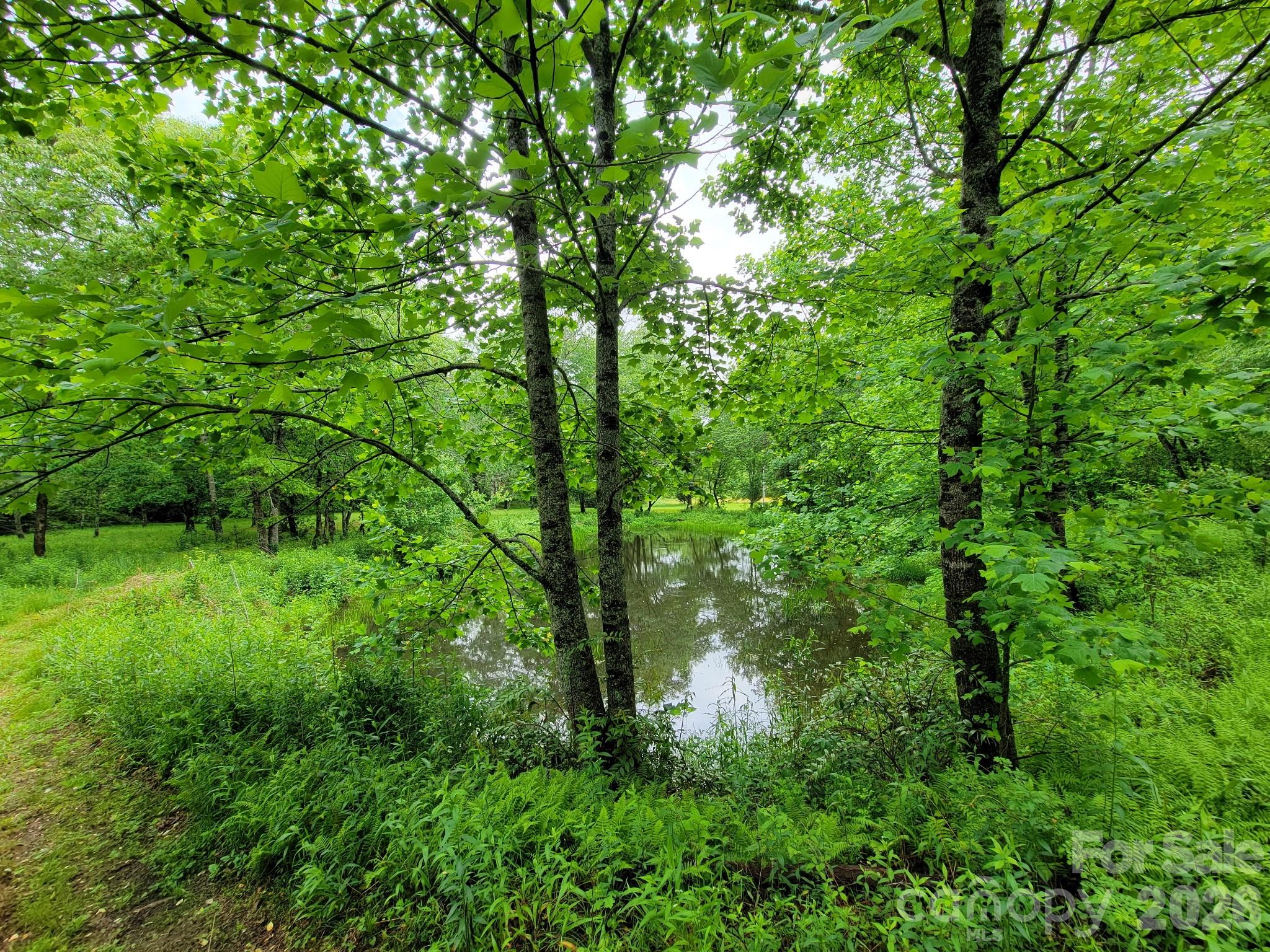 Tbd Sweetwater Ridge Road Balsam Grove NC 28708